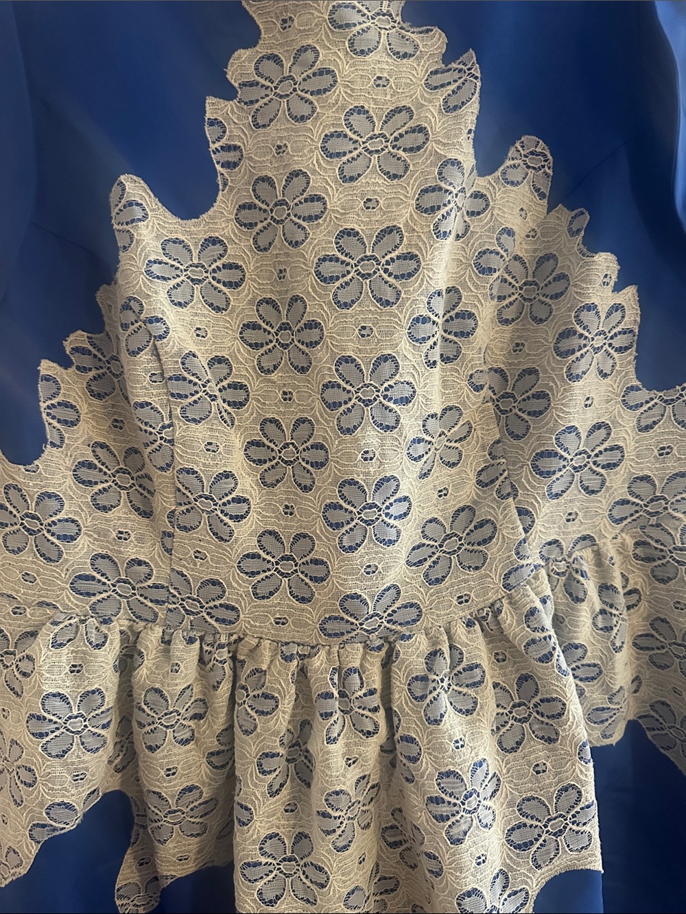 ASOS Curve Size 16 Blue Floral Lace Overlay Dress - Picture 4 of 11